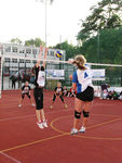 IMG 7254